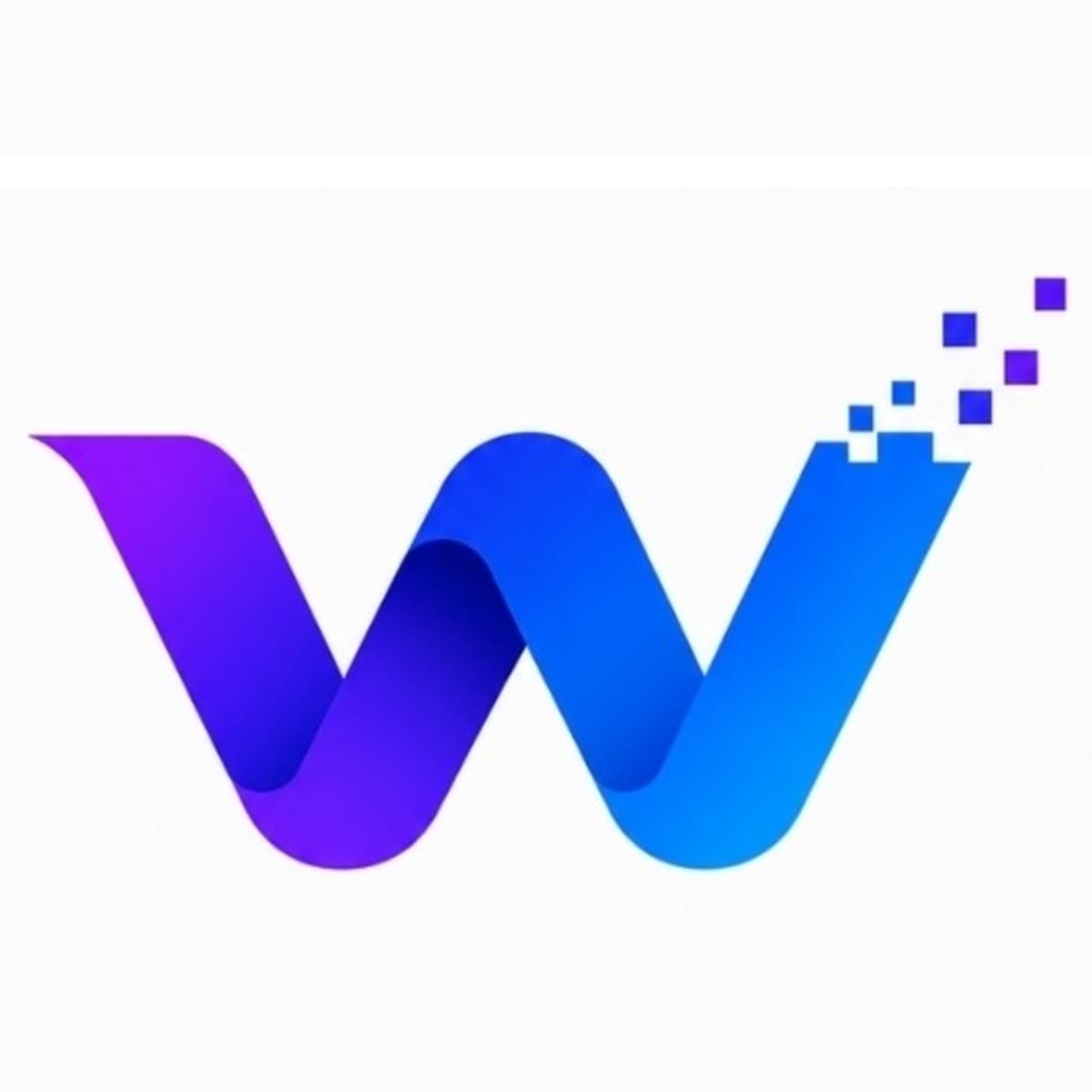 WebVibez Software Developer